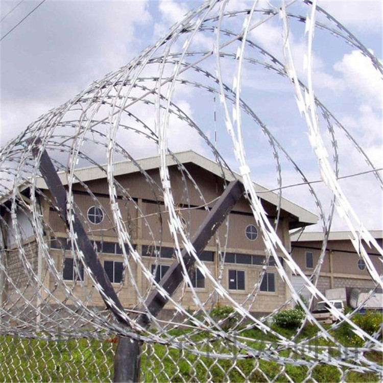 不銹鋼刀刺網案例展示圖片2 不銹鋼刀刺網案例展示圖片2